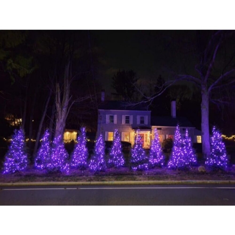 200 LED 66FT Halloween Fairy String Lights, Halloween Decoration Lights